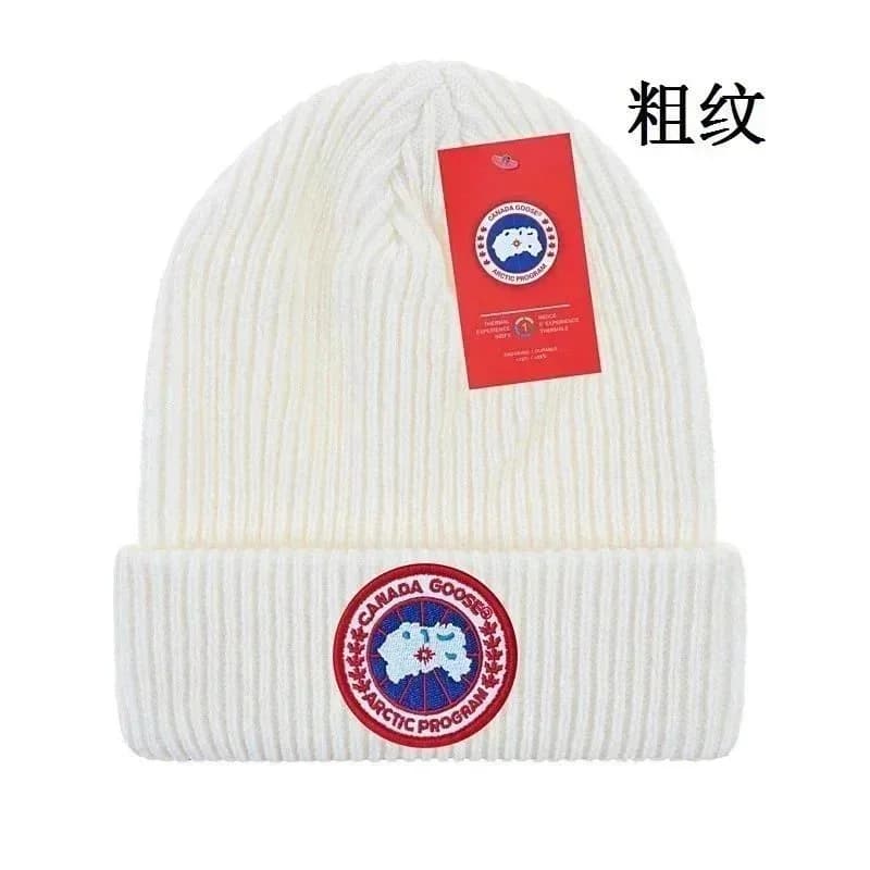 Canada Goose Arctic Program Beanie White — Hipobuy Spreadsheet find