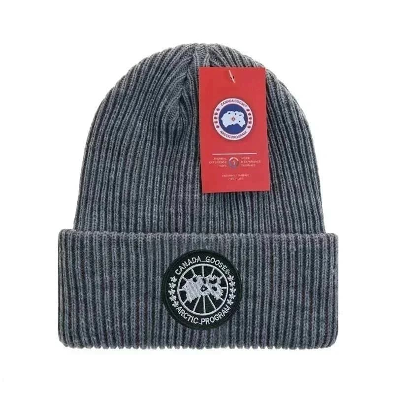 Canada Goose Arctic Program Beanie Grey — Hipobuy Spreadsheet find