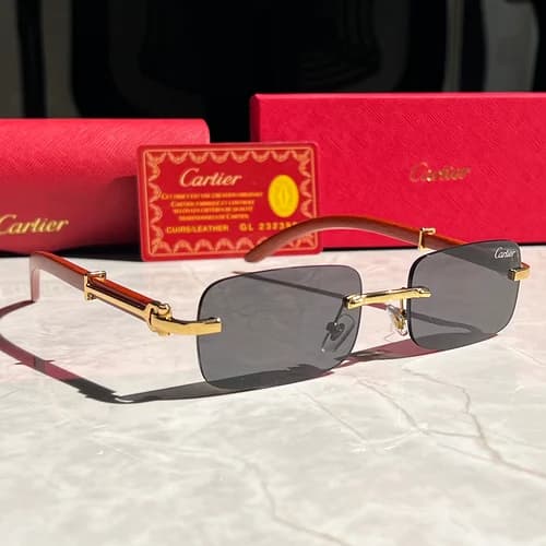 Cartier Soleil Blanc GL 23938 Sunglasses — Hipobuy Spreadsheet find