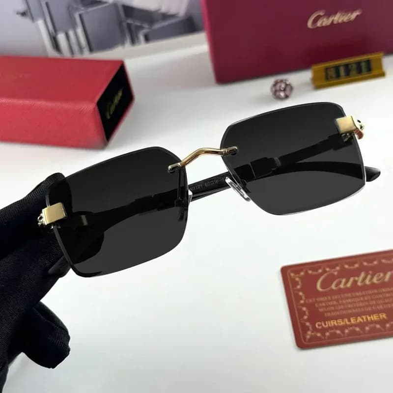 Cartier Soleil Blanc Black Gold Sunglasses — Hipobuy Spreadsheet find